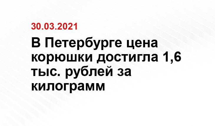 sputnik8.com