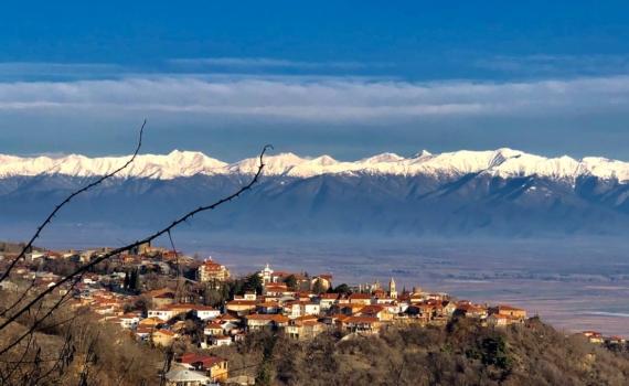 Глава грузинского правительства Ираклий Кобахидзе отметил, что украинские власти не могут серьезно вести внешнюю политику