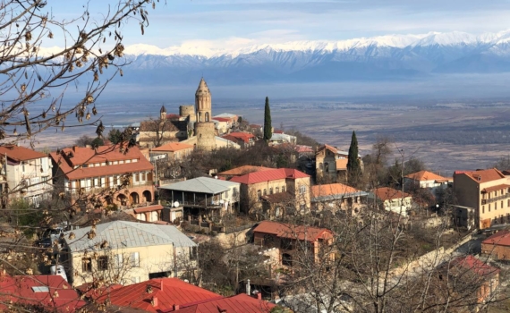Грузия назвала виновника затягивания боевых действий на Украине