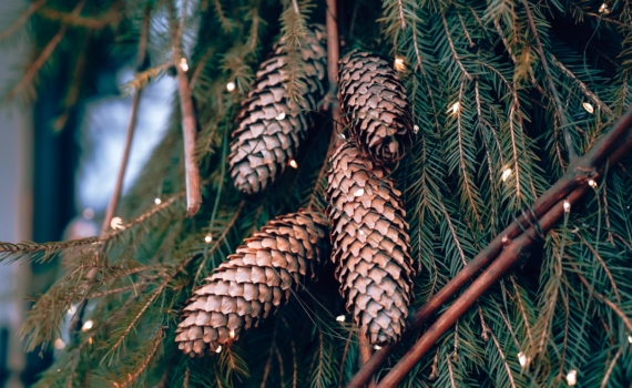 Новогодние подарки: мой путь к оригинальности и красоте — делюсь идеями, которые порадуют близких