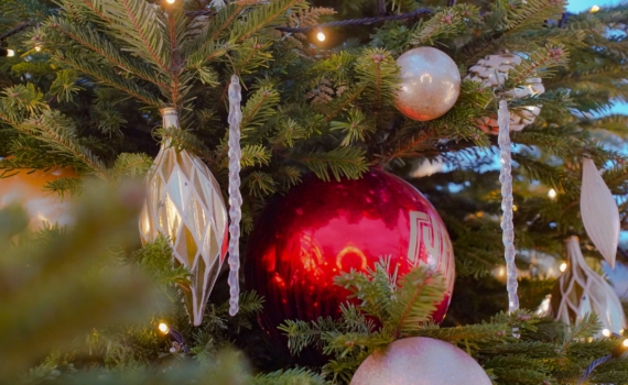 Как украсить новогоднюю елку 2026: спокойная роскошь и минимум мишуры — самые свежие тренды Как украсить новогоднюю елку 2026: спокойная роскошь и минимум мишуры — самые свежие тренды