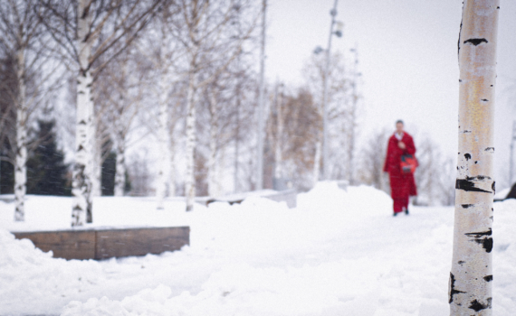 Главные лайфхаки февраля-2026 от Тамары Глоба: где искать любовь, деньги и удачу вашему знаку Главные лайфхаки февраля-2026 от Тамары Глоба: где искать любовь, деньги и удачу вашему знаку